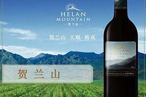 保樂力加賀蘭山葡萄酒