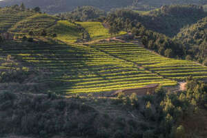 普瑞特酒莊PortaldelPriorat