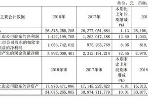 青島啤酒公布2018年財報，營收265.75億、凈利潤14.22億